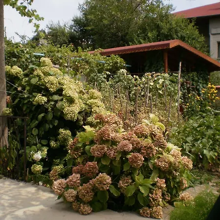 песента на морето Гостевой дом 3*