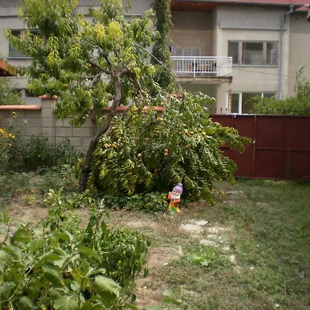 песента на морето Maison d'hôtes 3*