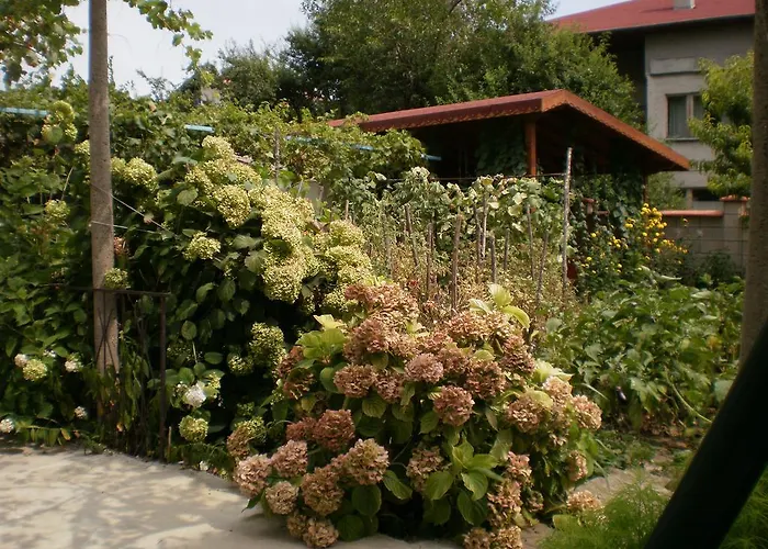 песента на морето Гостевой дом 3*