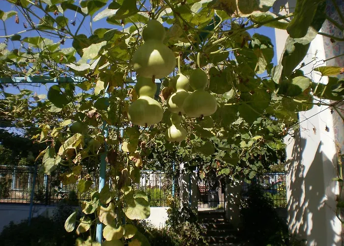 Gasthof песента на морето Obsor